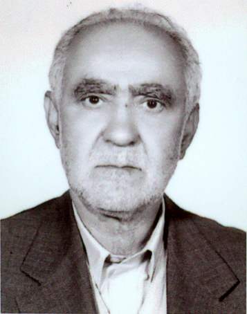 سید حسین صفایی